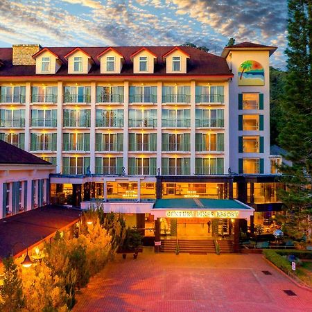 Century Pines Resort קמרון היילנדס מראה חיצוני תמונה